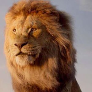 Meet your Posher, Cecilio